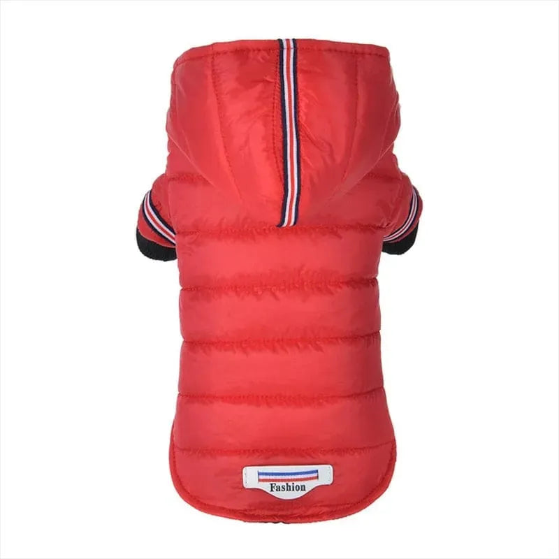 Fashion Puffer Dachshund Jacket The Doxie World