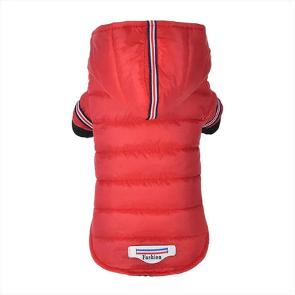 Fashion Puffer Dachshund Jacket The Doxie World