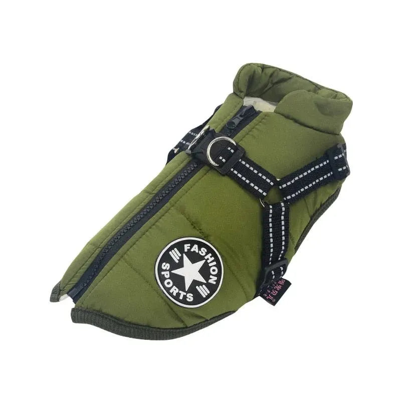 Fashion Stars Dachshund Jacket Green / S The Doxie World