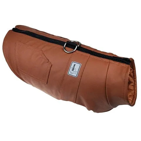 Faux Leather Dachshund Jacket thedoxieworld