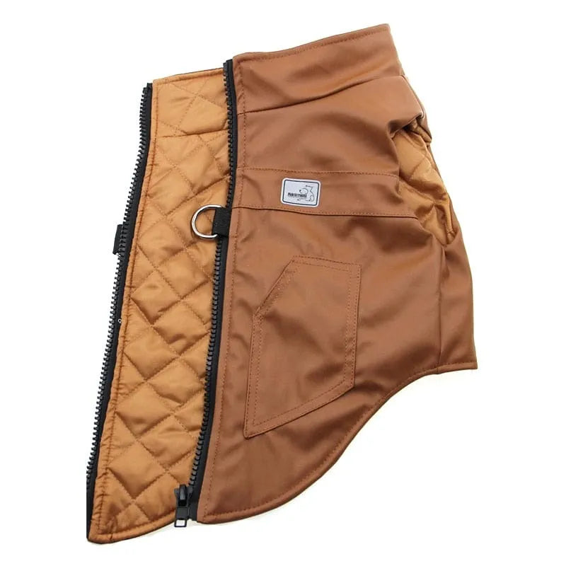 Faux Leather Dachshund Jacket thedoxieworld