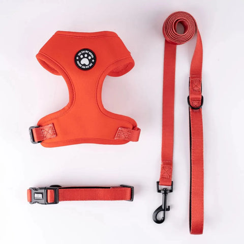 Dachshund Harness Set