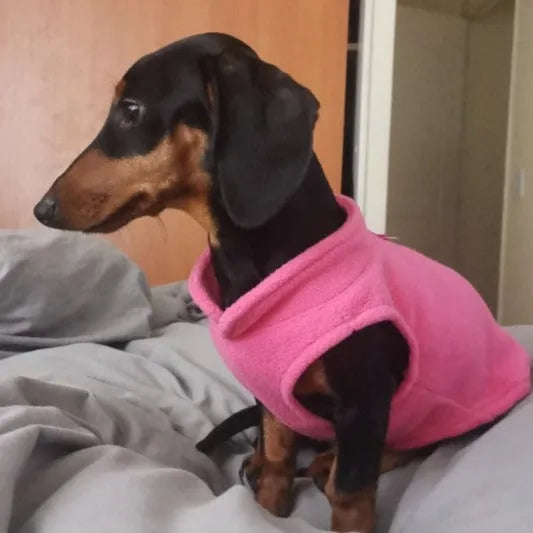Fleece Dachshund Jacket The Doxie World