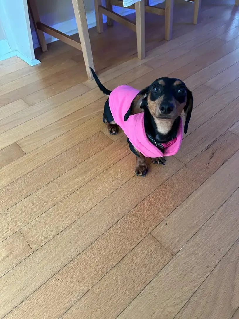Fleece Dachshund Jacket The Doxie World