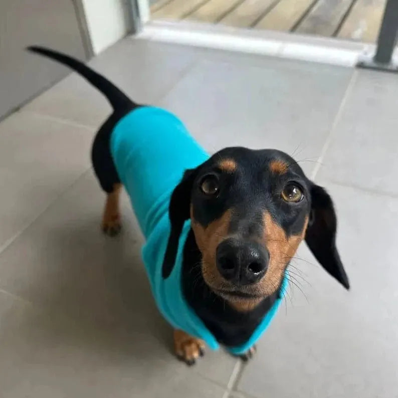 Fleece Dachshund Jacket The Doxie World