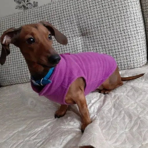 Fleece Dachshund Jacket The Doxie World