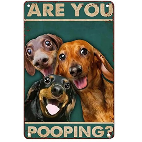 Funny Dachshund Bathroom Metal Sign 20cm x 30cm (8"x12") The Doxie World