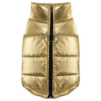Glossy Waterproof Dachshund Jacket Gold / 2XL The Doxie World