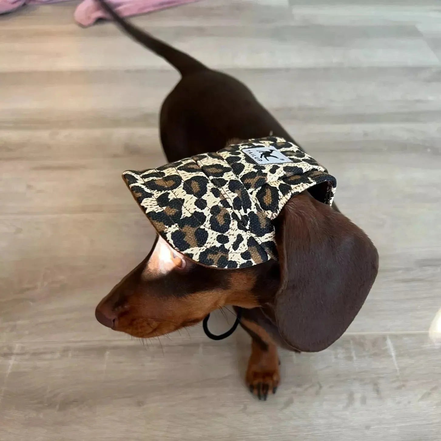 Graphic Baseball Dachshund Hat The Doxie World