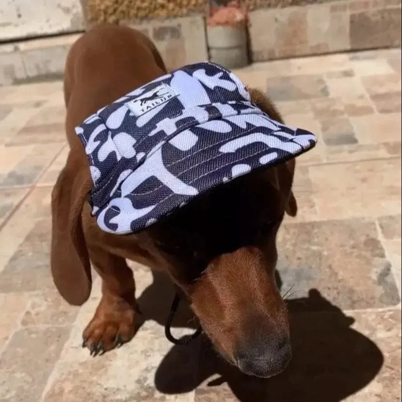 Graphic Baseball Dachshund Hat The Doxie World