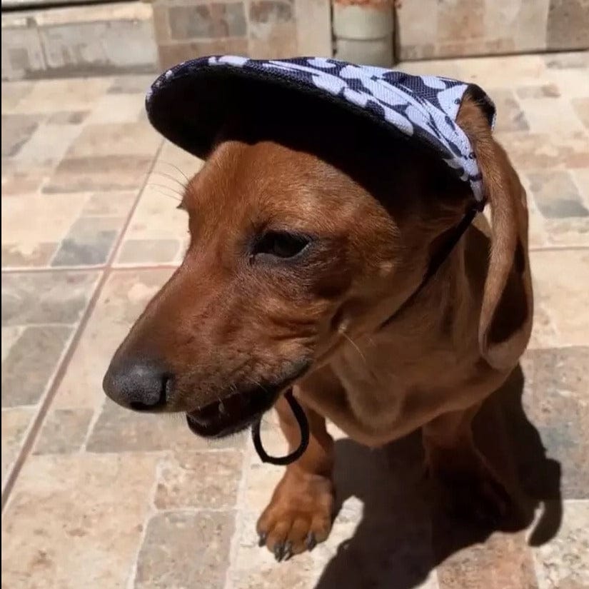 Graphic Baseball Dachshund Hat E Blue Letter / S The Doxie World