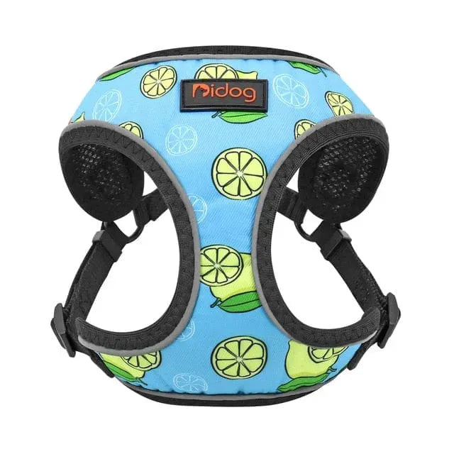 Graphic Breathable Dog Harness 2 / XS The Doxie World