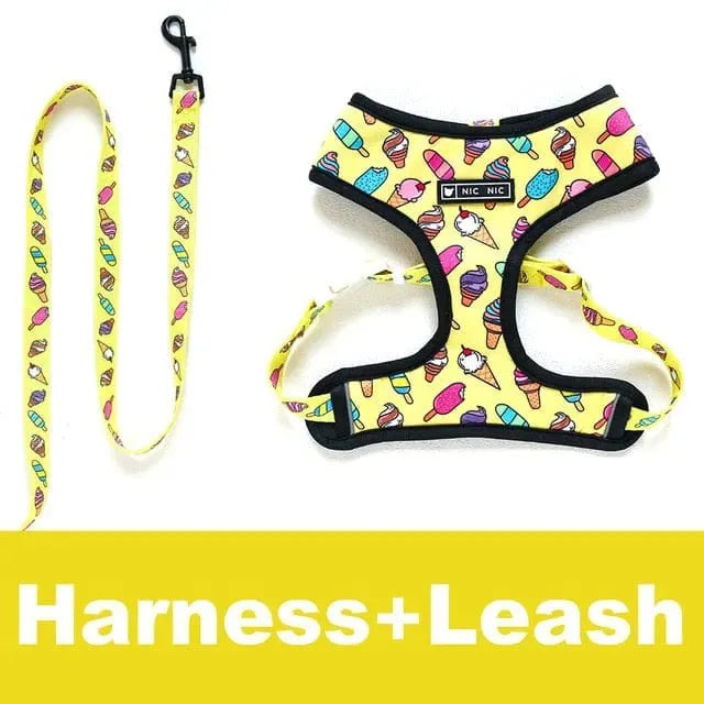 Graphic Dachshund Harness and Leash Set The Doxie World