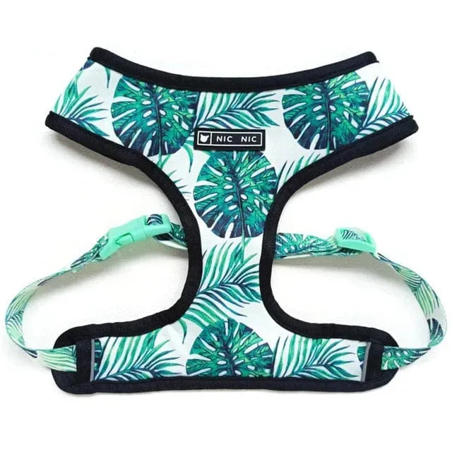 Graphic Dachshund Harness and Leash Set Green harness / S The Doxie World