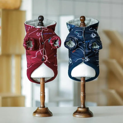 Graphic Dachshund Jacket The Doxie World