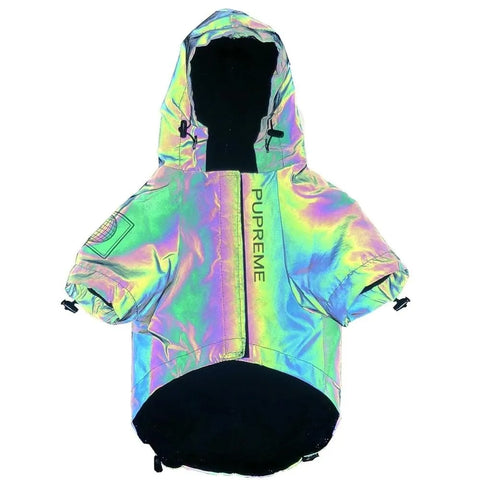 Holographic Dachshund Jacket The Doxie World