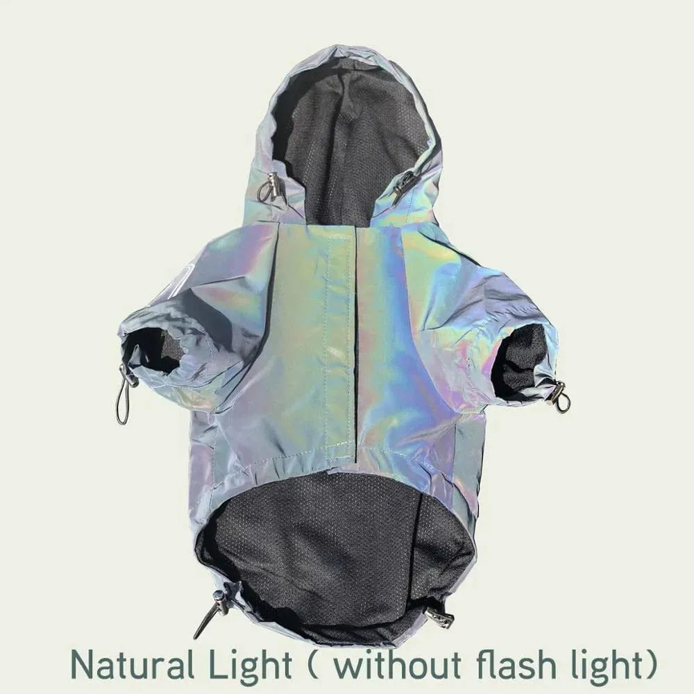 Holographic Dachshund Jacket The Doxie World