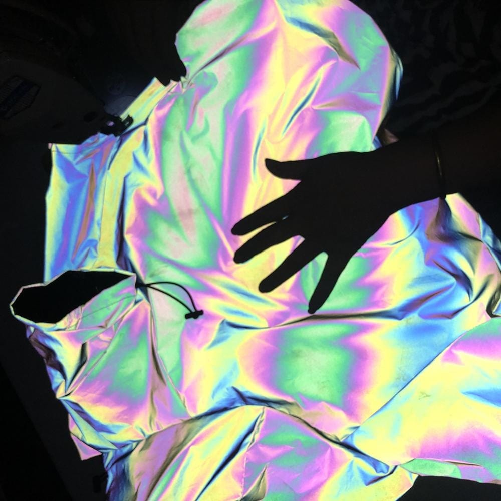 Holographic Dachshund Jacket The Doxie World