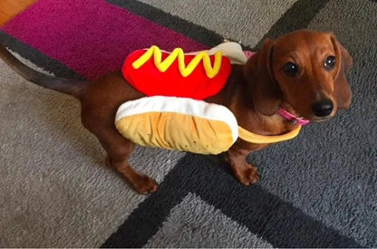 Hot Dog Dachshund Costume The Doxie World
