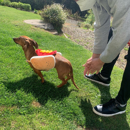 Hot Dog Dachshund Costume The Doxie World