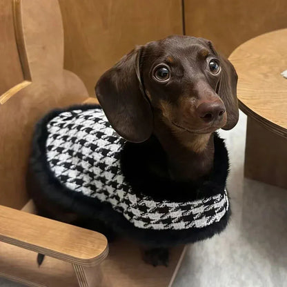 Houndstooth Dachshund Coat Set The Doxie World