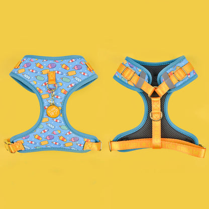 Ice Cream Sausage Dog Harness The Doxie World