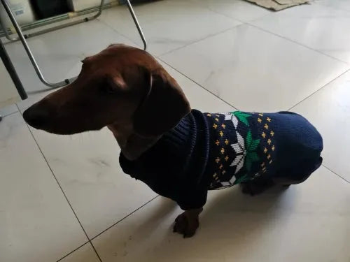 Navy Sausage Dog Sweater