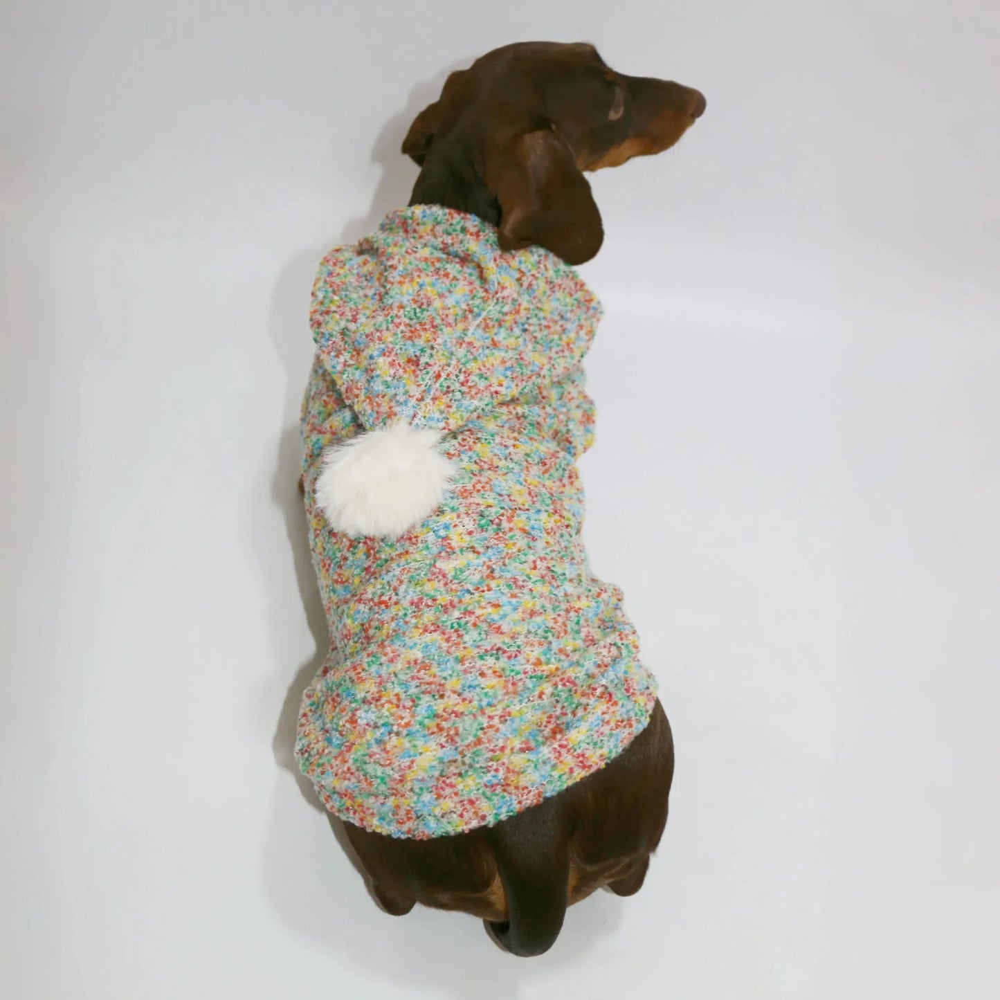 Knitted Dachshund Hoodie The Doxie World