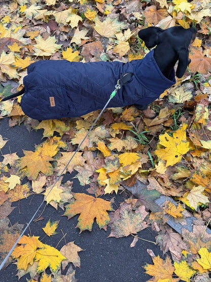 Quilted Wiener Dog Coat