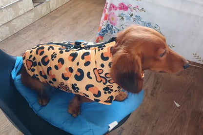 Leopard Wiener Dog Coat The Doxie World