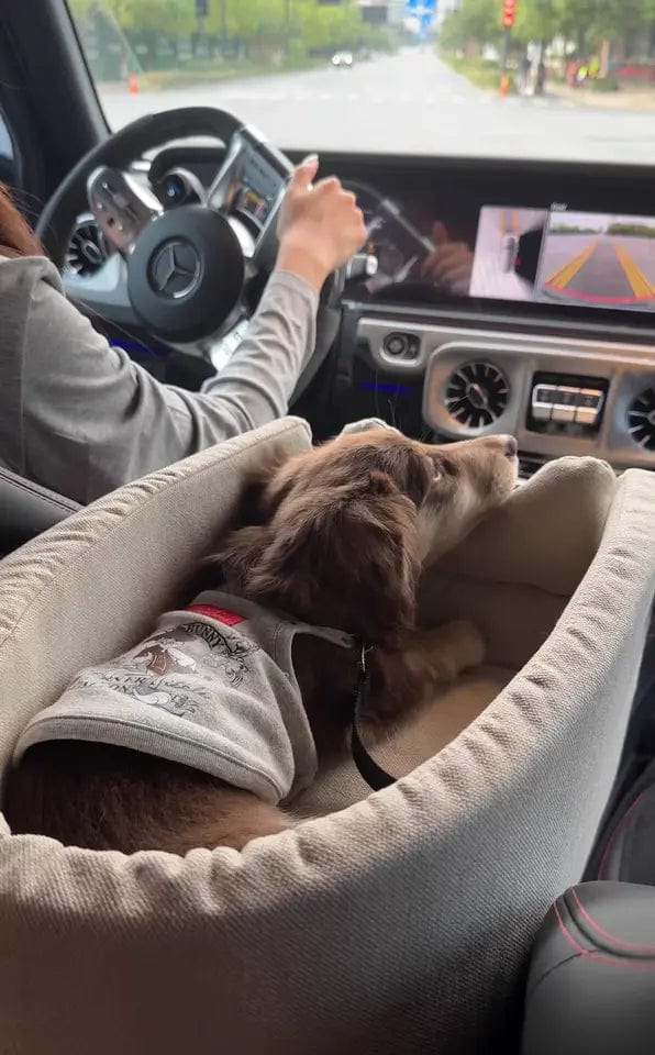 Luxury Console Dachshund Car Seat The Doxie World