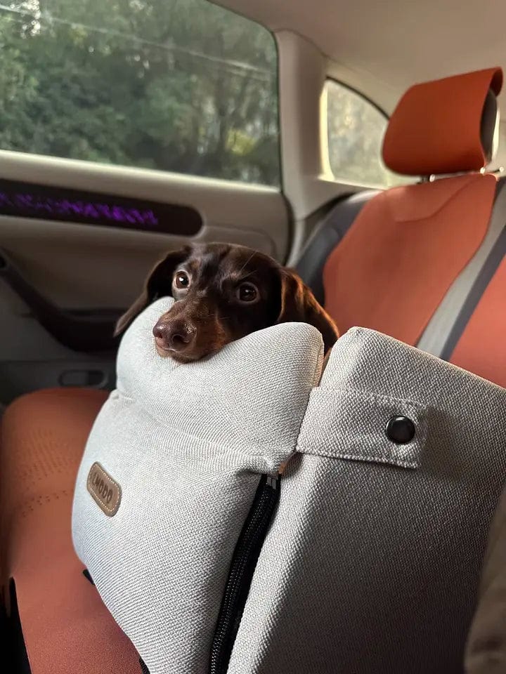 Luxury Console Dachshund Car Seat The Doxie World