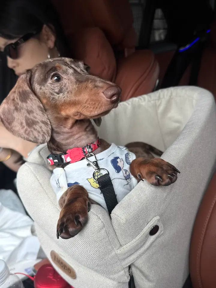 Luxury Console Dachshund Car Seat The Doxie World