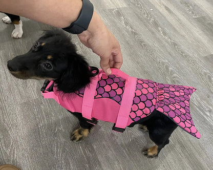 Mermaid Dachshund Life Jacket The Doxie World