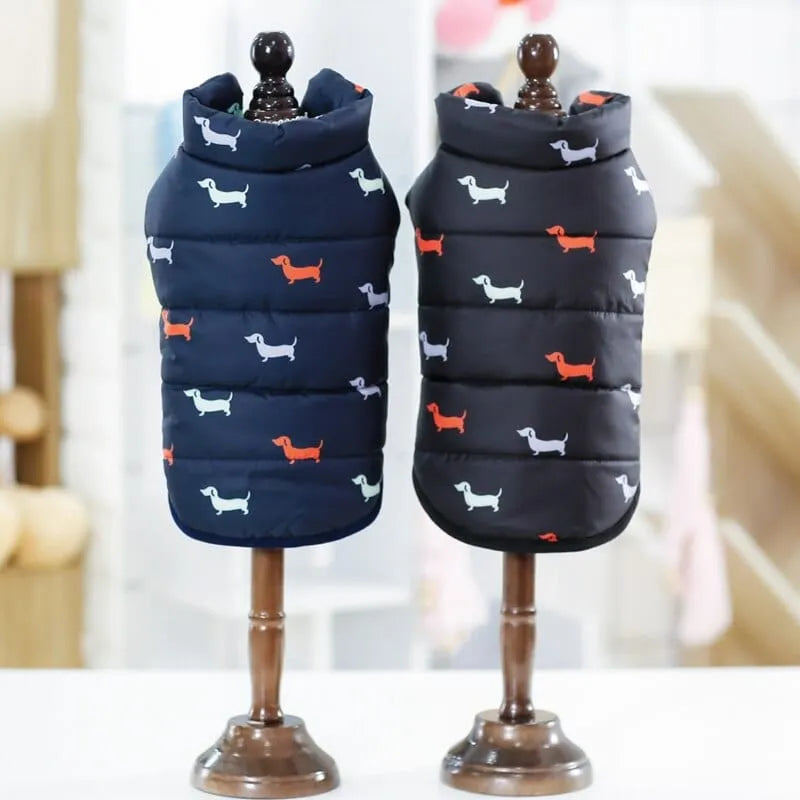 Milo Dachshund Jacket thedoxieworld