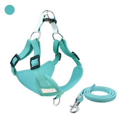 Molly Dachshund Harness and Leash Set Light Green / XXS The Doxie World