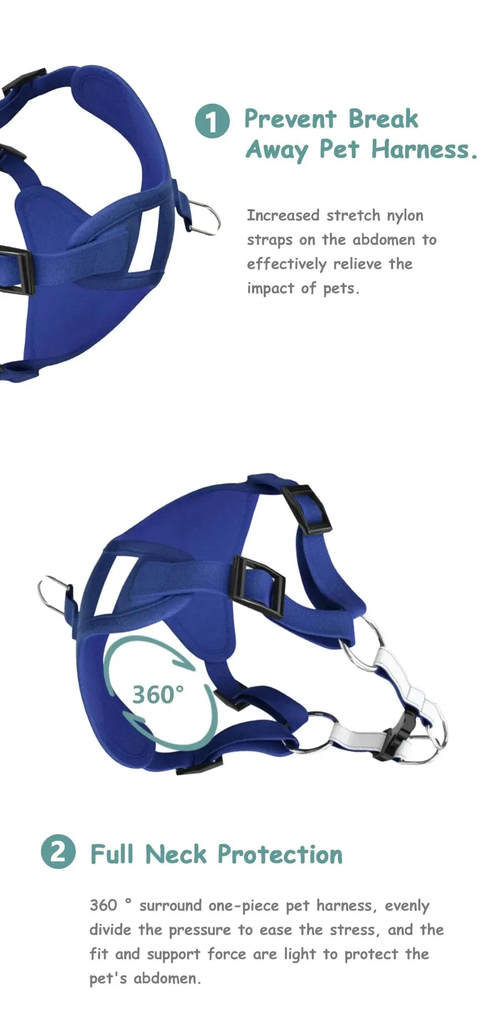 Molly Dachshund Harness and Leash Set The Doxie World