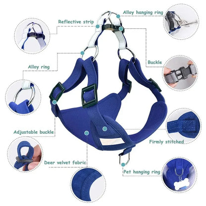 Molly Dachshund Harness and Leash Set The Doxie World