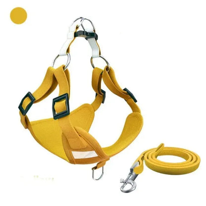 Molly Dachshund Harness and Leash Set Yellow / XXS The Doxie World