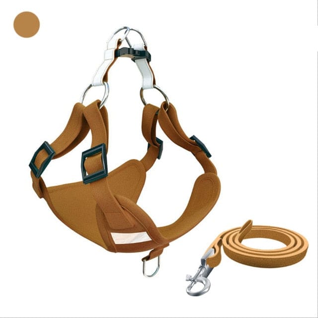 Molly Dachshund Harness and Leash Set brown / XXS The Doxie World