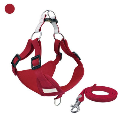 Molly Dachshund Harness and Leash Set Red / M The Doxie World