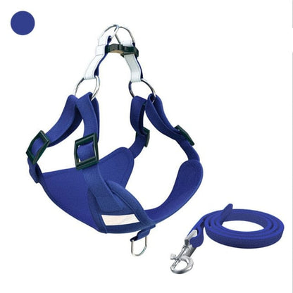 Molly Dachshund Harness and Leash Set Blue / XXS The Doxie World