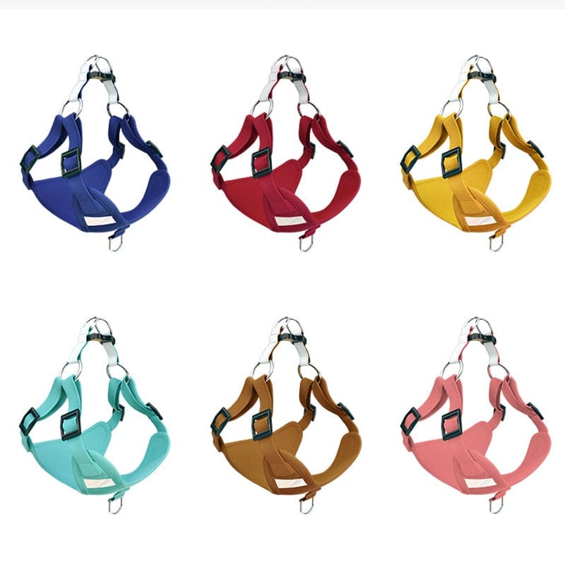 Molly Dachshund Harness and Leash Set The Doxie World