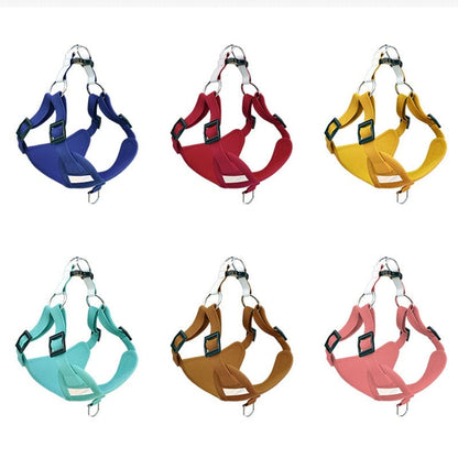 Molly Dachshund Harness and Leash Set The Doxie World