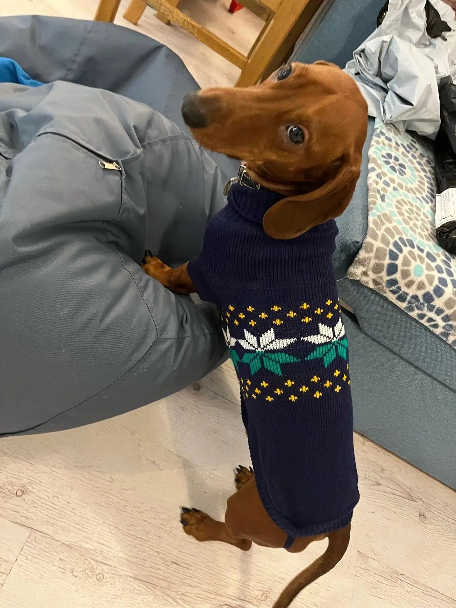 Navy Sausage Dog Sweater The Doxie World