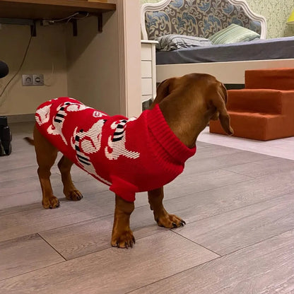 Dachshund Puppy Red Sweater