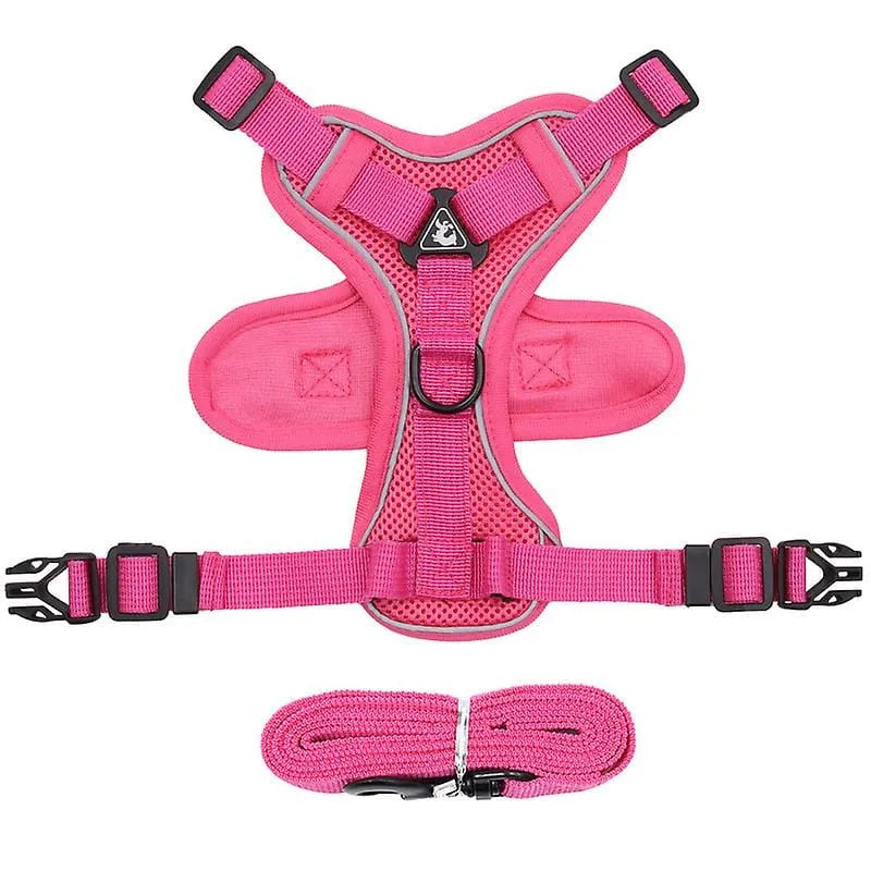No-pull Dachshund Harness and Leash Pink / S The Doxie World