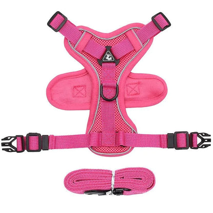 No-pull Dachshund Harness and Leash Pink / S The Doxie World