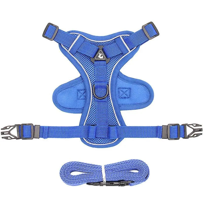 No-pull Dachshund Harness and Leash Blue / S The Doxie World
