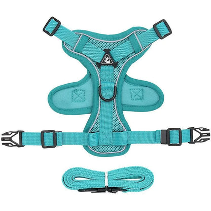 No-pull Dachshund Harness and Leash The Doxie World